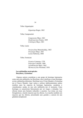 El Mundo de las Hormigas