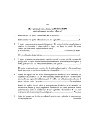 El Mundo de las Hormigas