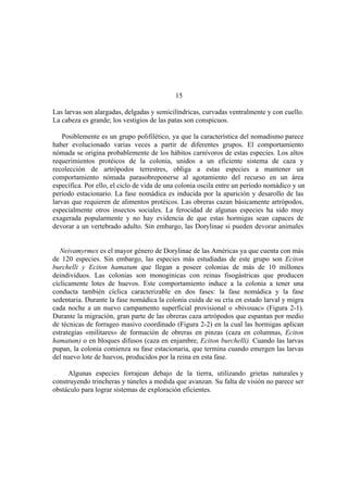 El Mundo de las Hormigas