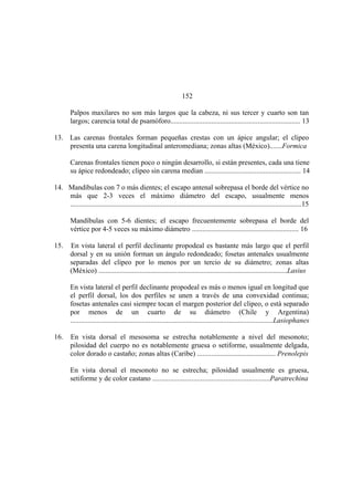 El Mundo de las Hormigas