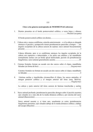 El Mundo de las Hormigas