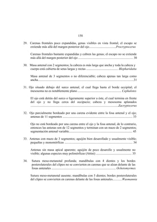 El Mundo de las Hormigas