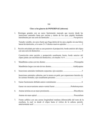 El Mundo de las Hormigas