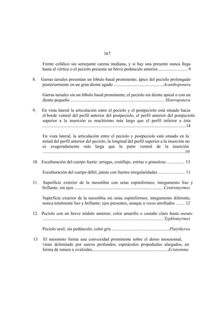 El Mundo de las Hormigas