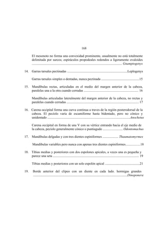 El Mundo de las Hormigas