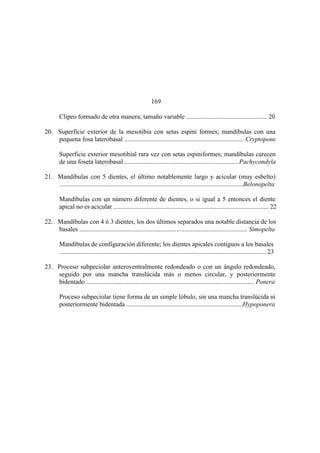 El Mundo de las Hormigas