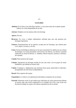 El Mundo de las Hormigas