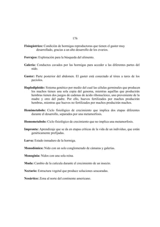 El Mundo de las Hormigas