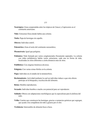 El Mundo de las Hormigas