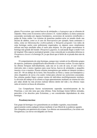 El Mundo de las Hormigas