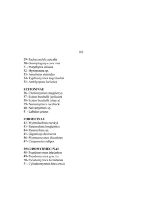 El Mundo de las Hormigas