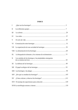 El Mundo de las Hormigas