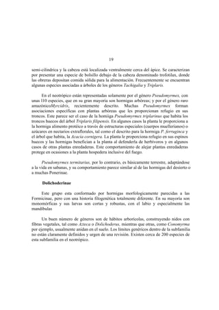 El Mundo de las Hormigas