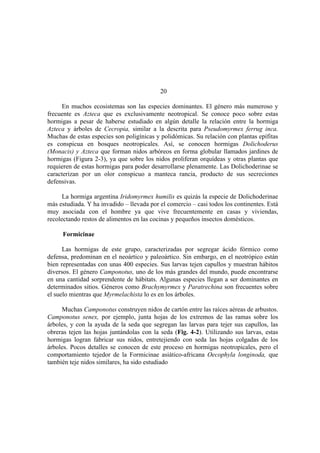 El Mundo de las Hormigas