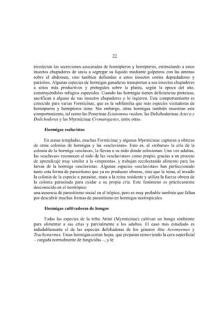 El Mundo de las Hormigas