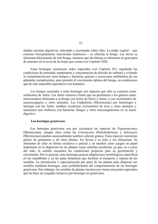 El Mundo de las Hormigas