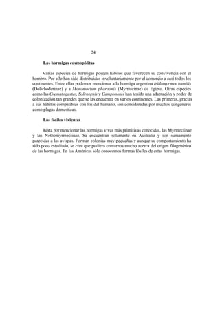 El Mundo de las Hormigas