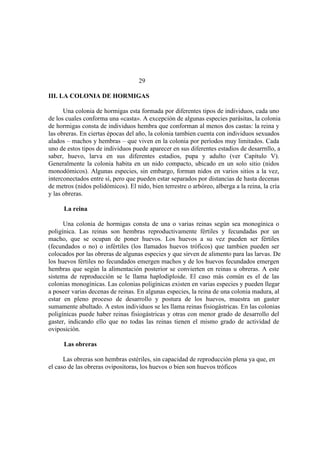 El Mundo de las Hormigas