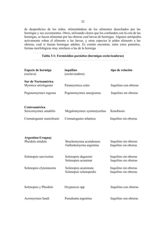 El Mundo de las Hormigas