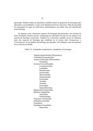 El Mundo de las Hormigas