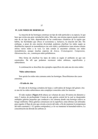 El Mundo de las Hormigas