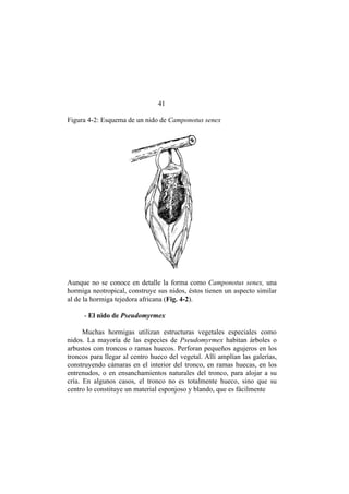 El Mundo de las Hormigas