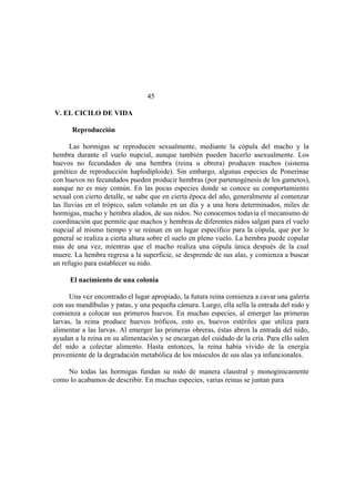 El Mundo de las Hormigas