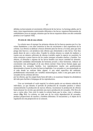 El Mundo de las Hormigas