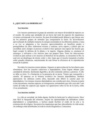 El Mundo de las Hormigas