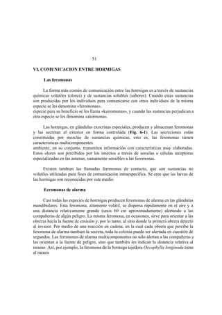 El Mundo de las Hormigas