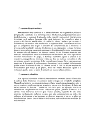 El Mundo de las Hormigas