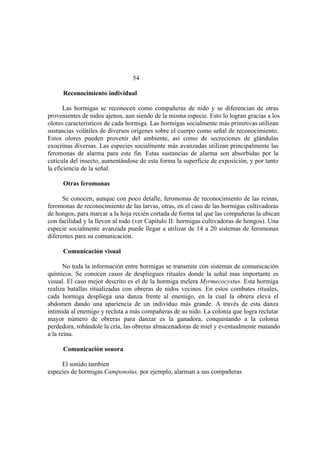 El Mundo de las Hormigas