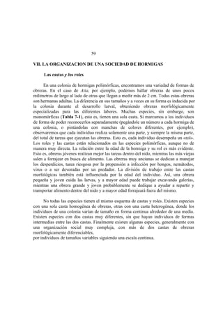 El Mundo de las Hormigas