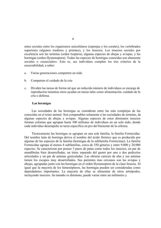 El Mundo de las Hormigas