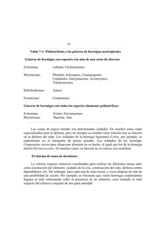 El Mundo de las Hormigas