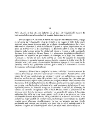 El Mundo de las Hormigas