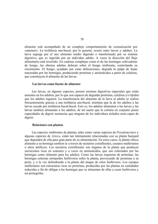 El Mundo de las Hormigas