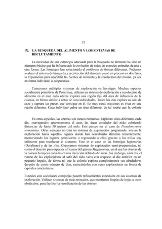 El Mundo de las Hormigas