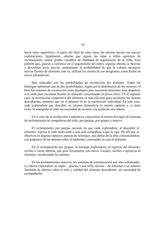 El Mundo de las Hormigas