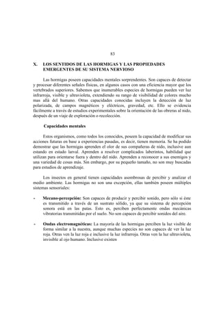 El Mundo de las Hormigas