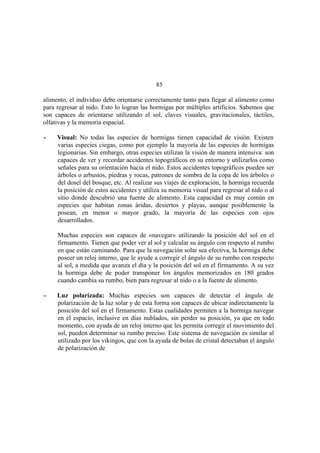 El Mundo de las Hormigas