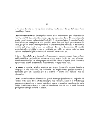 El Mundo de las Hormigas