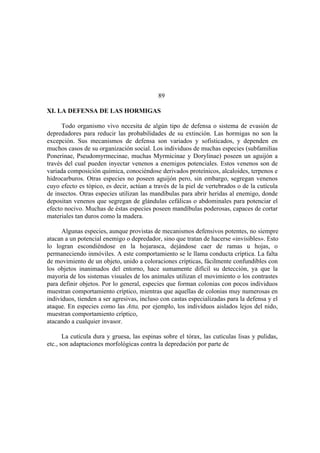 El Mundo de las Hormigas