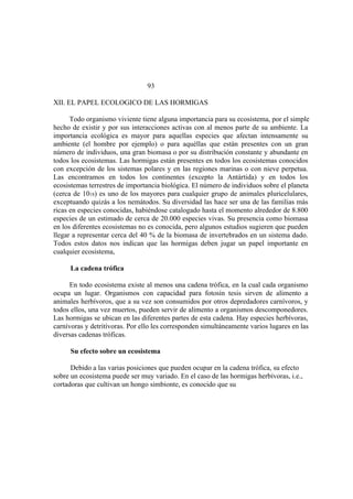 El Mundo de las Hormigas