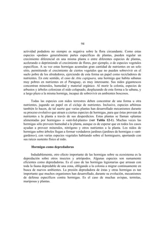 El Mundo de las Hormigas