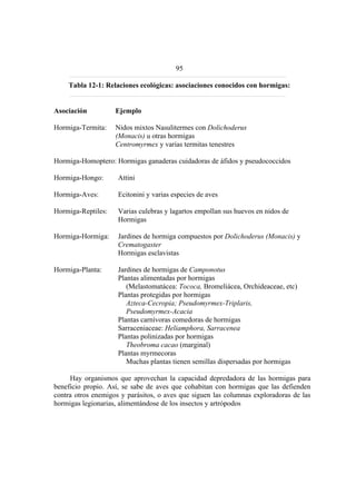 El Mundo de las Hormigas