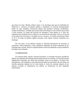 El Mundo de las Hormigas