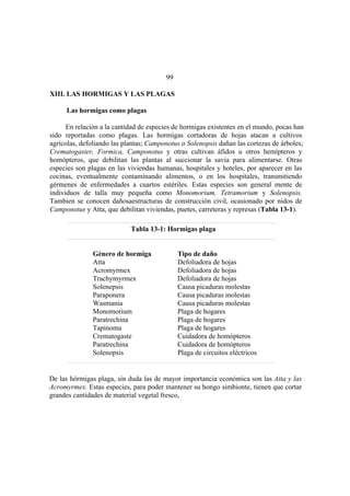 El Mundo de las Hormigas