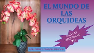 EL MUNDO DE
LAS
ORQUIDEAS
POR: DIANA P. CONDORI BERROCAL
 