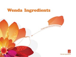 Wenda Ingredients
 